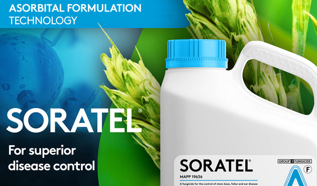 Commitment_Soral290622.jpg