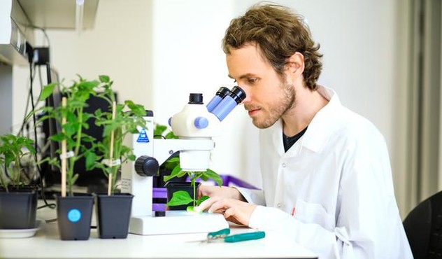 Scientist Looking through a Microscope.jpg