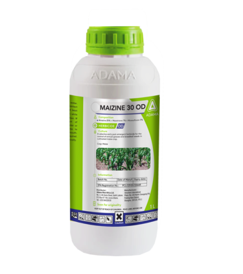 Maizine is a unique herbicide that controls wide range of weeds in Maize field